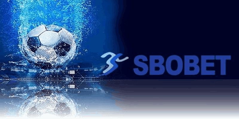 Các nhà phát hành tại thể thao Nohu90